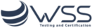 Logo de WSS